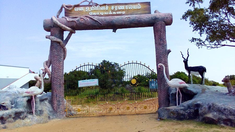 Point Calimere Wildlife Sanctuary